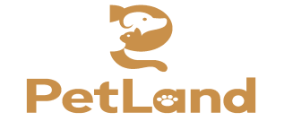 Logo CardWash
